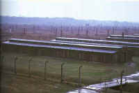 095-Birkenau-chimneys.jpg (21039 bytes)