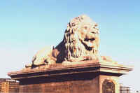 250-lion.jpg (20038 bytes)