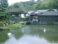 21-16-hikone-garden.jpg (104043 bytes)