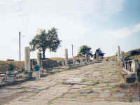 032-asc-jane.jpg (16348 bytes)