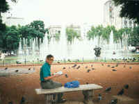 082-park-dp.jpg (31515 bytes)