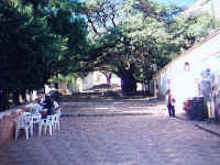 145-refresh.jpg (41292 bytes) width=