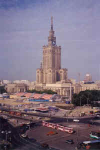 003-culture.jpg (22453 bytes)