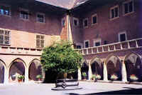 081-jag2.jpg (35304 bytes)