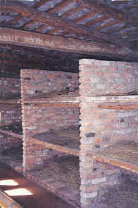 093-bunks.jpg (31189 bytes)