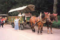 175-wagon.jpg (30372 bytes)