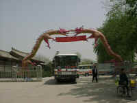 065-P-bus.jpg (30094 bytes)