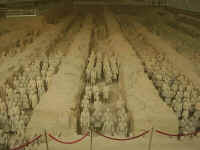 081-TC-rows.jpg (34076 bytes)