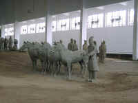 083-TC-horses.jpg (28105 bytes)