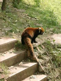 094-P-less2.jpg (34586 bytes)