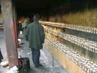 138-T-candles.jpg (36679 bytes)