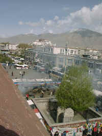 142-T-view.jpg (36135 bytes) width=