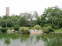 226-Pk-flam.jpg (26220 bytes)