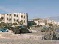 067-cats.jpg (31471 bytes)