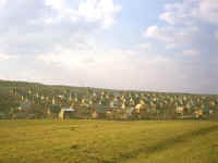 16-01-dachas-posad.jpg (111197 bytes)