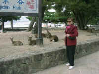 24-06-miyajima-deer.jpg (107276 bytes)